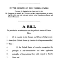 1991 Bill To Provide For A Referendum On The Political Status Of Puerto Rico (S. 244)